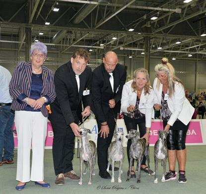The Breeder Group with judge: Patsy Gilmour, UK